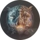 Coasters glass
